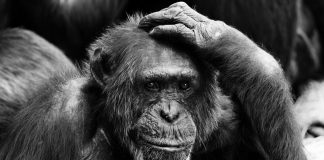 Avec intelligence et humour – nos prestations, deux points