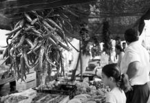 Picante como una guindilla – Una agencia de relaciones públicas