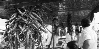 Piquant comme un piment – Une agence de conseil et de relations publiques