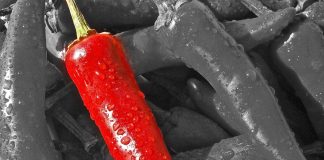 Acı biber kadar sıcak – Bir halkla ilişkiler ajansı