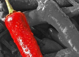 Hot as chilli pepper – A public relations agency