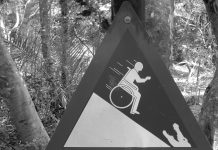 С мозгами и юмором: наши услуги для вас!