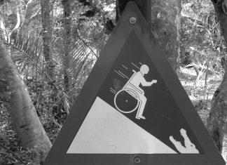 С мозгами и юмором: наши услуги для вас!